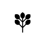 Logo certificazione